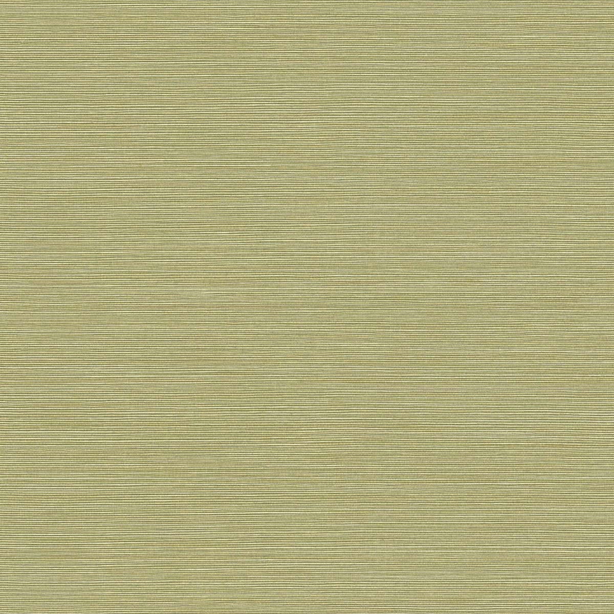BV30424 Seabrook Designs Texture Gallery Wallpaper Coastal Hemp Lime Moss