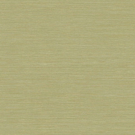 BV30424 Seabrook Designs Texture Gallery Wallpaper Coastal Hemp Lime Moss