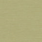 BV30424 Seabrook Designs Texture Gallery Wallpaper Coastal Hemp Lime Moss