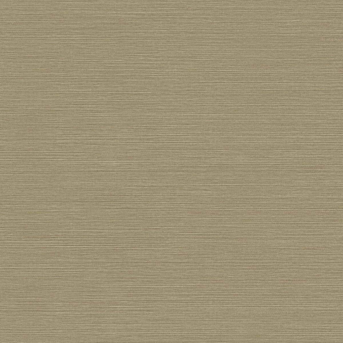 BV30436 Seabrook Designs Texture Gallery Wallpaper Coastal Hemp Cattails