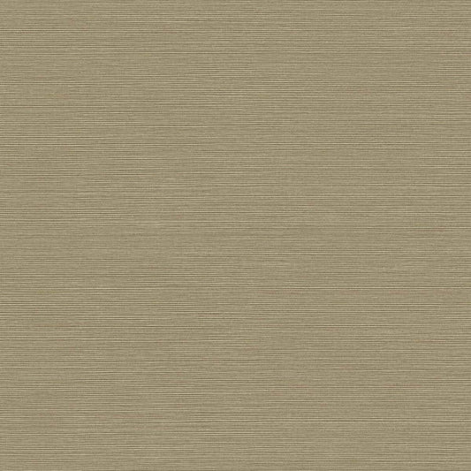 BV30436 Seabrook Designs Texture Gallery Wallpaper Coastal Hemp Cattails