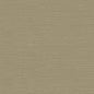 BV30436 Seabrook Designs Texture Gallery Wallpaper Coastal Hemp Cattails