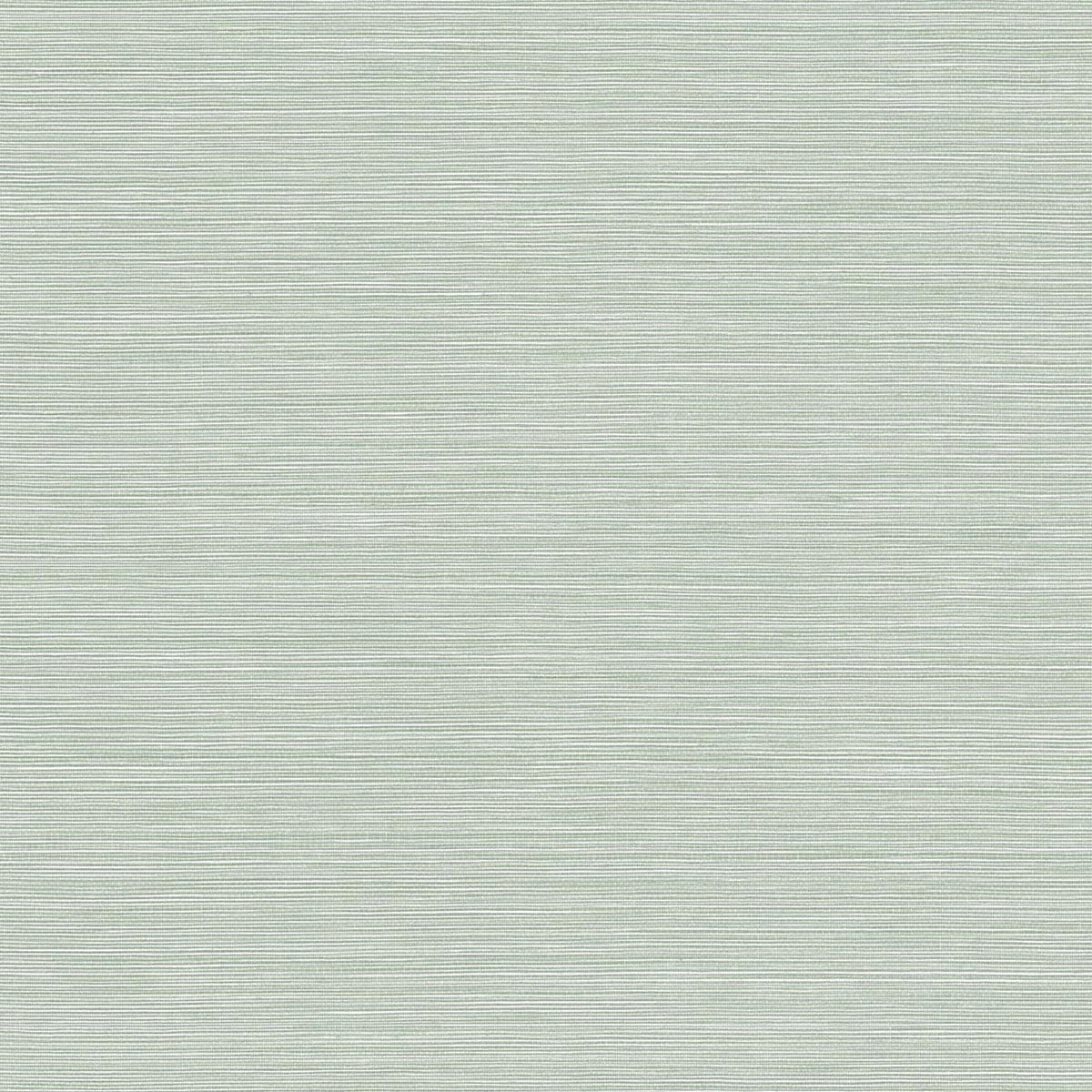 BV30444 Seabrook Designs Texture Gallery Wallpaper Coastal Hemp Tender Green