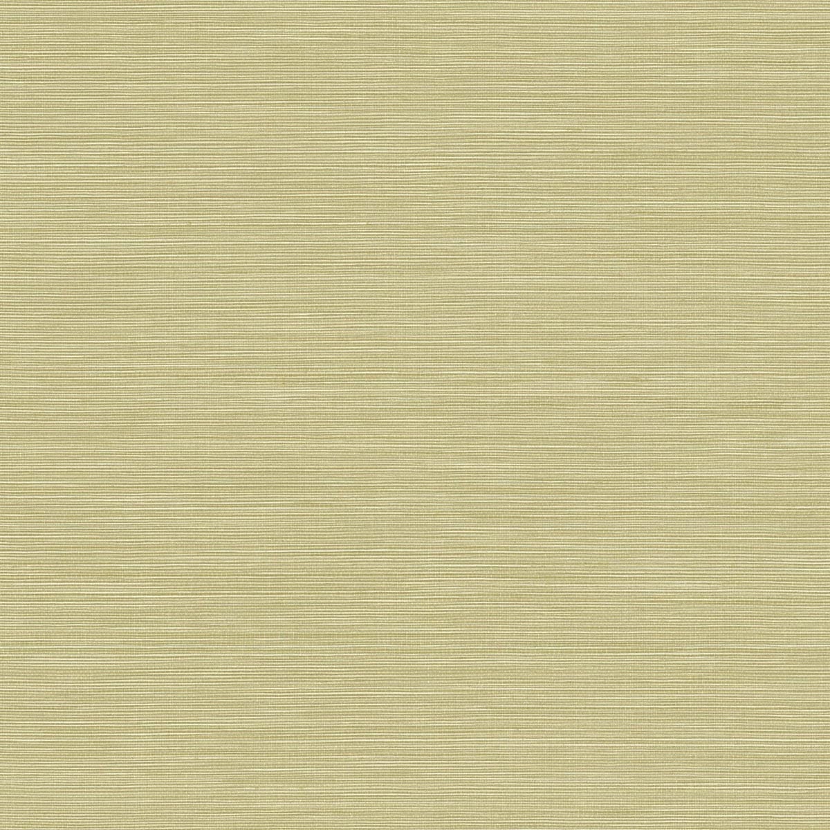 BV30454 Seabrook Designs Texture Gallery Wallpaper Coastal Hemp Aloe