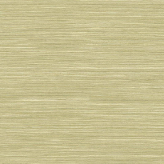 BV30454 Seabrook Designs Texture Gallery Wallpaper Coastal Hemp Aloe