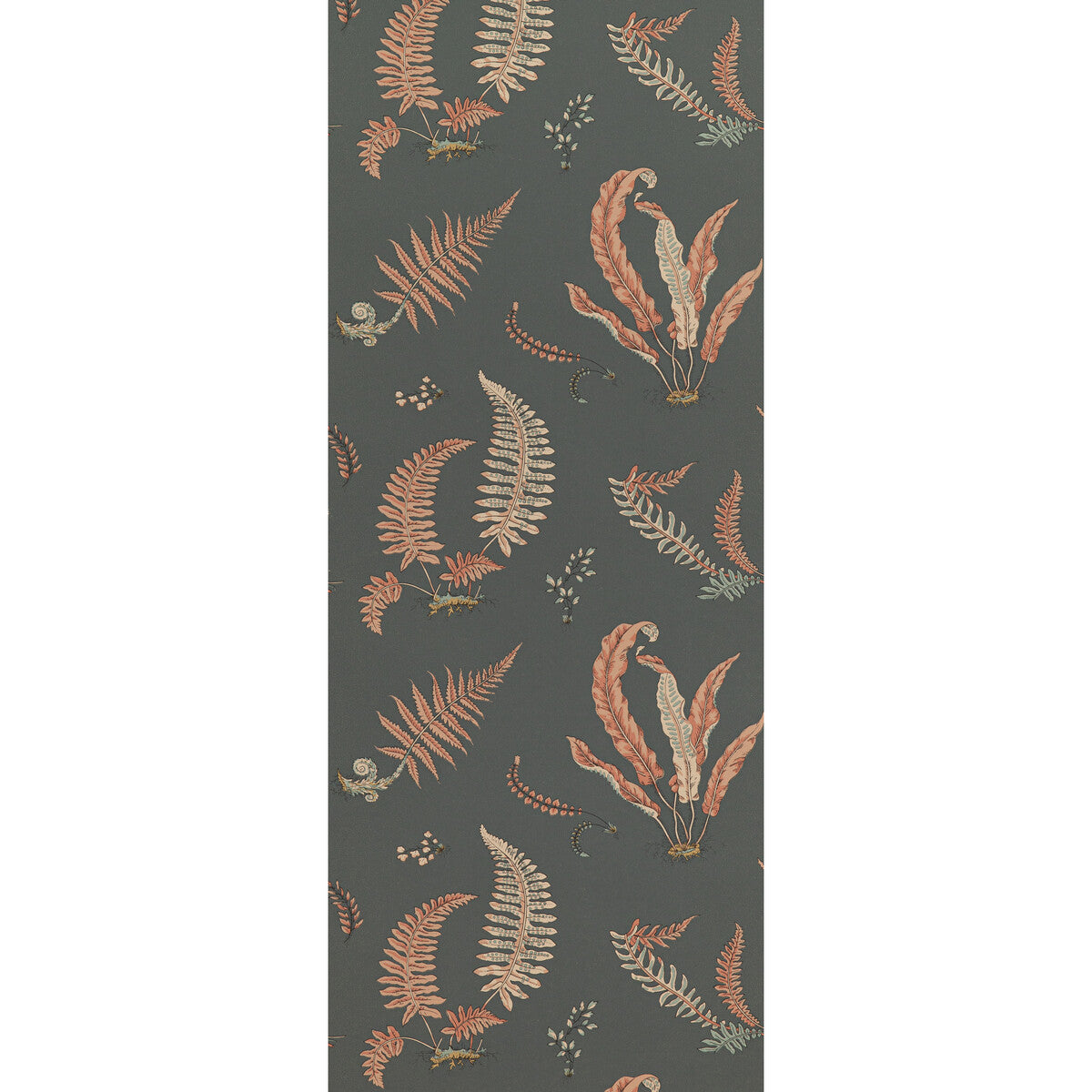 BW45044-13 FERNS CORAL/CHARCOAL G P & J BAKER Wallpaper
