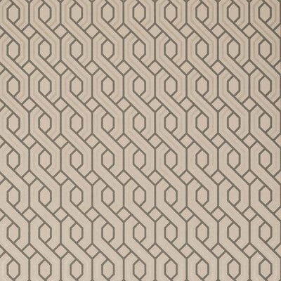 BW45082-5 BOXWOOD TRELLIS BLUSH G P & J BAKER Wallpaper