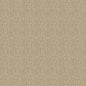 BW45118-8 TILLY CHARCOAL G P & J BAKER Wallpaper