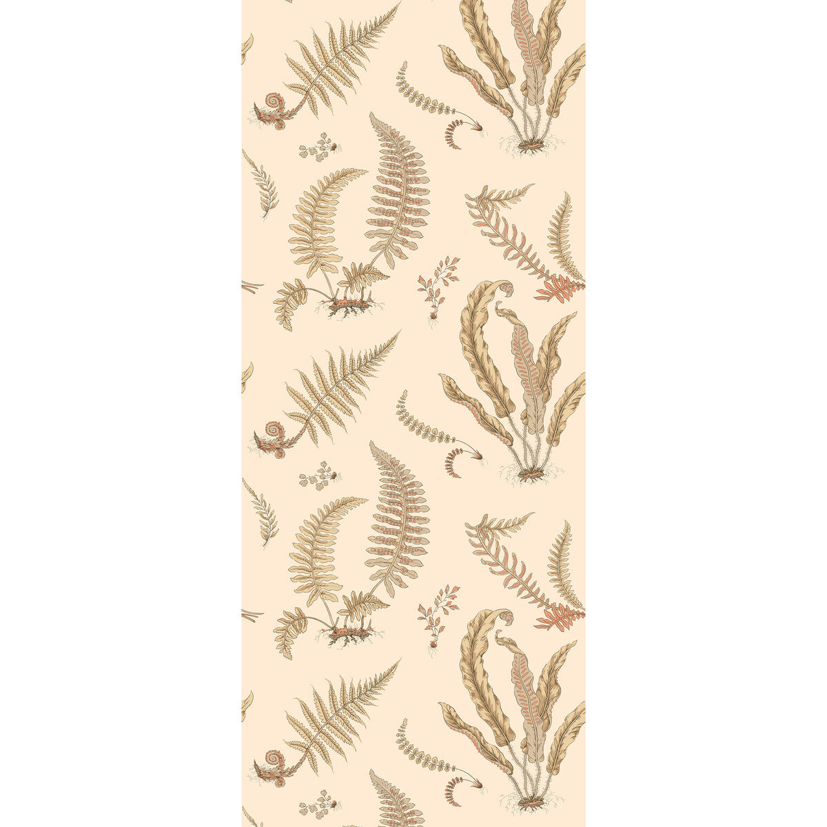 BW45122-2 FERNS PARCHMENT G P & J BAKER Wallpaper