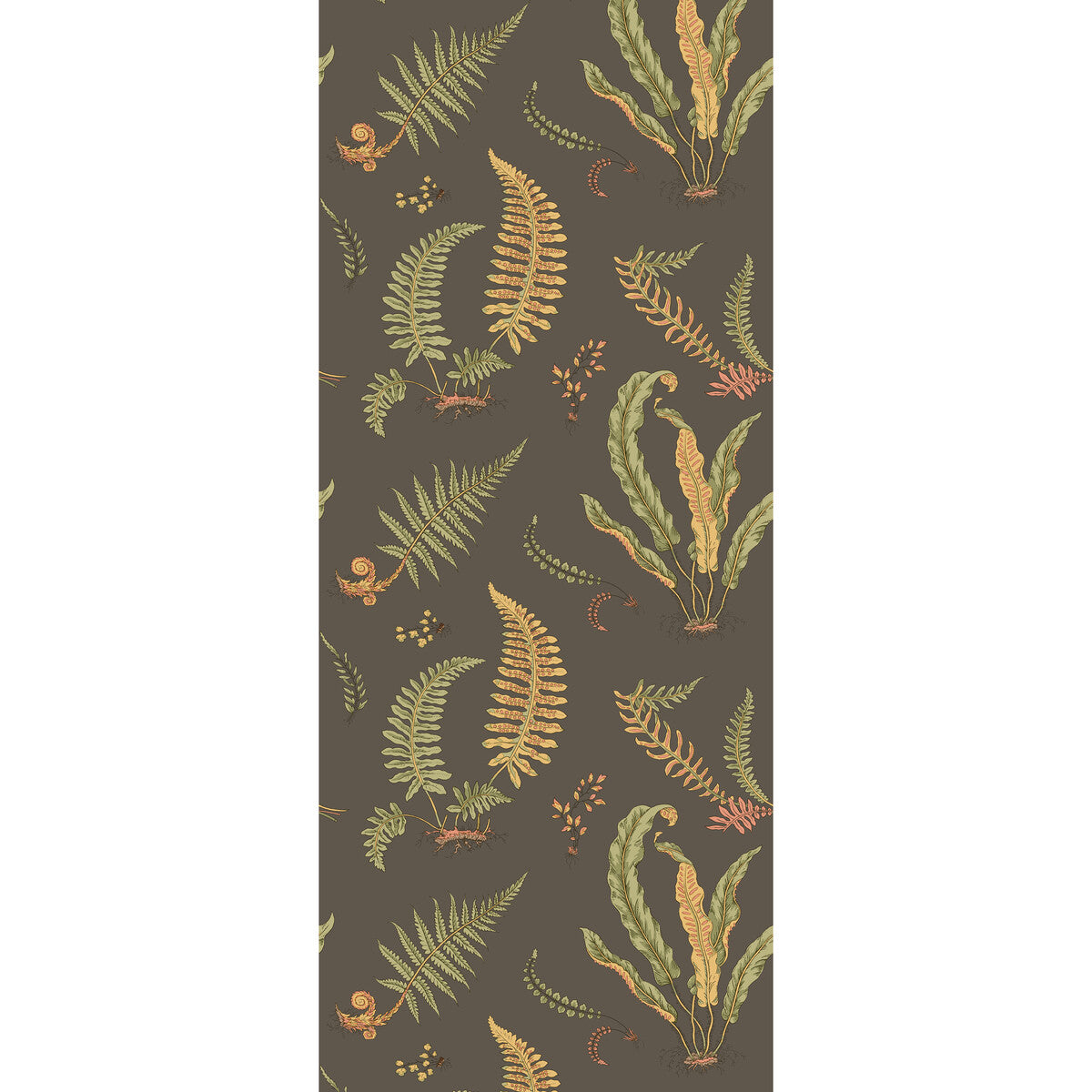 BW45122-5 FERNS CHARCOAL G P & J BAKER Wallpaper