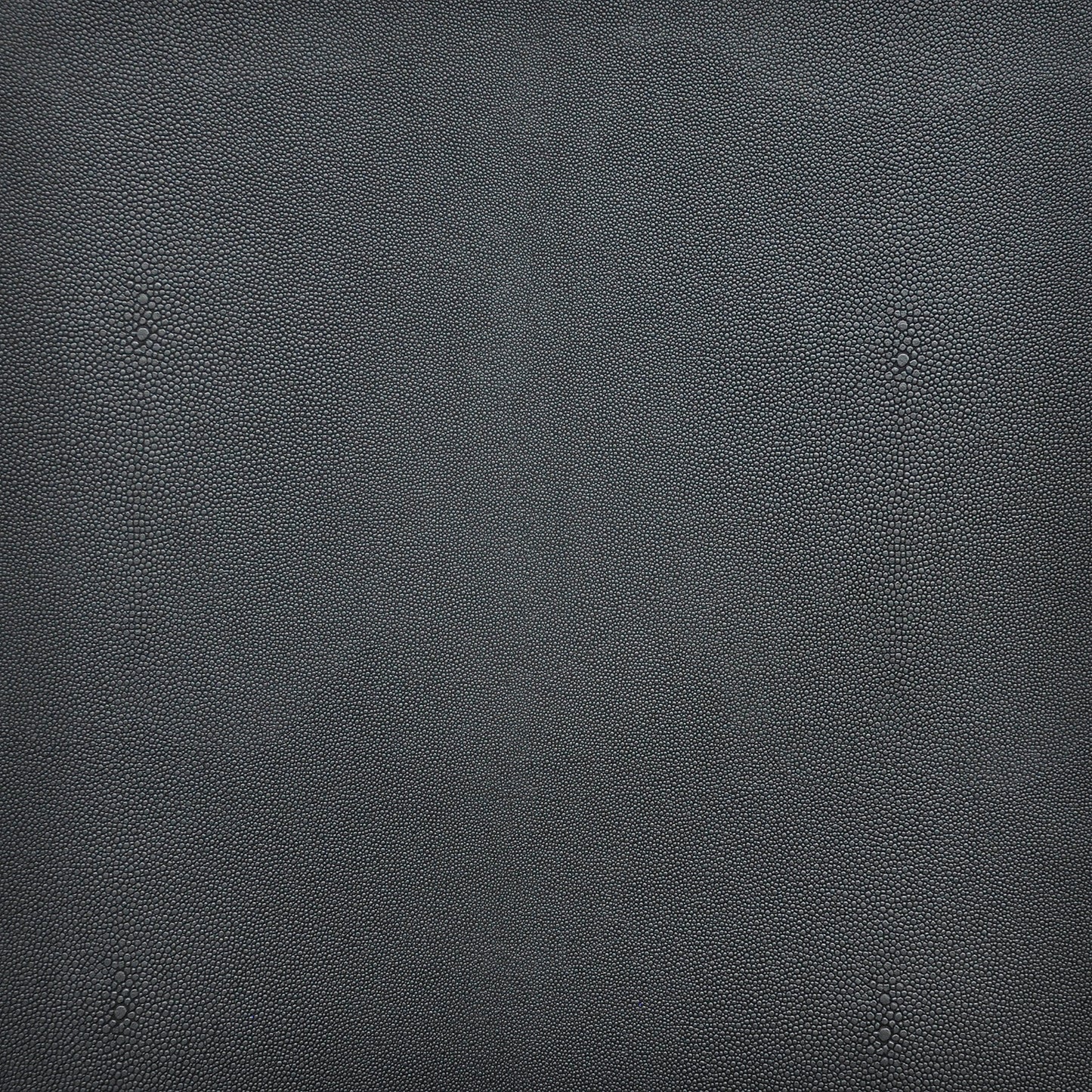 BZ6240 Maxwell FAUX LEATHER # 240 SHADOW EASYRIDERV