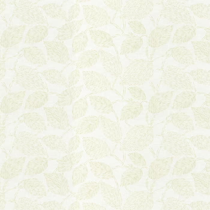 CAIR-2 STOUT CAIRO 2 BAMBOO BAMBOO MULTIPURPOSE