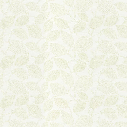 CAIR-2 STOUT CAIRO 2 BAMBOO BAMBOO MULTIPURPOSE