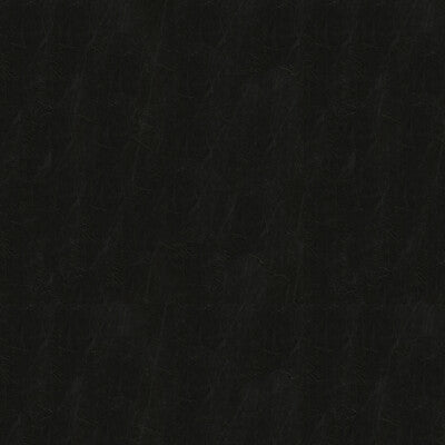 CAPTURED-8 CAPTURED SHADOW KRAVET COUTURE UPHOLSTERY