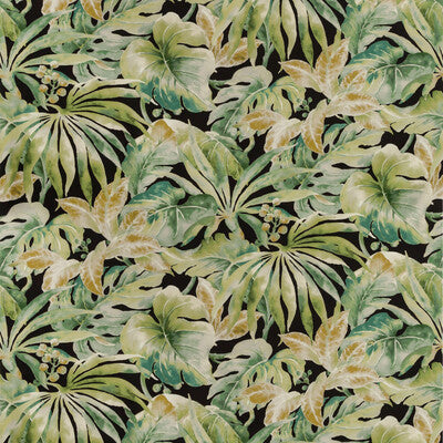 CARLES-830 KRAVET BASICS CARLES-830 KRAVET BASICS Fabrics Drapery Upholstery