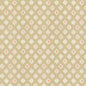 CASP-1 STOUT CASPIAN 1 SORBET SORBET MULTIPURPOSE