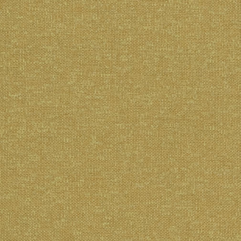 CB600-103 Plain & Solid nan Green Charlotte Colors