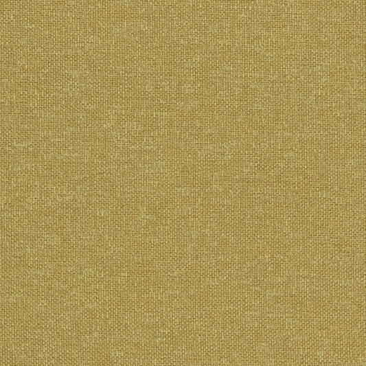 CB600-103 Plain & Solid nan Green Charlotte Colors