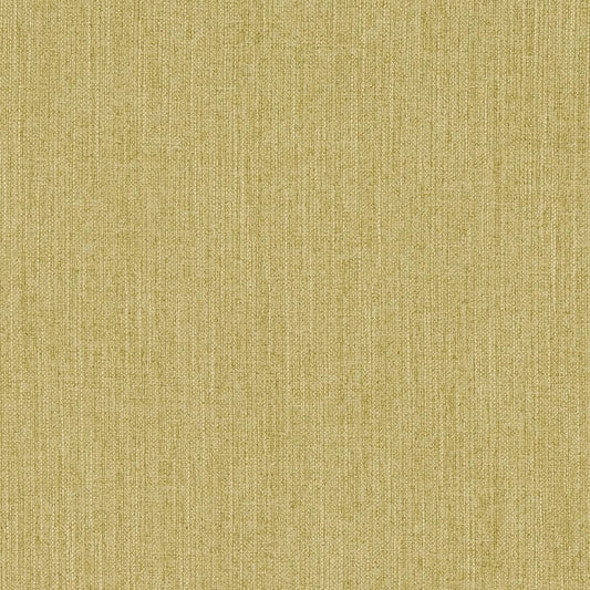 CB600-110 Plain & Solid nan Green Charlotte Colors