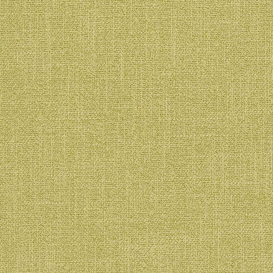 CB600-113 Plain & Solid nan Green Charlotte Colors