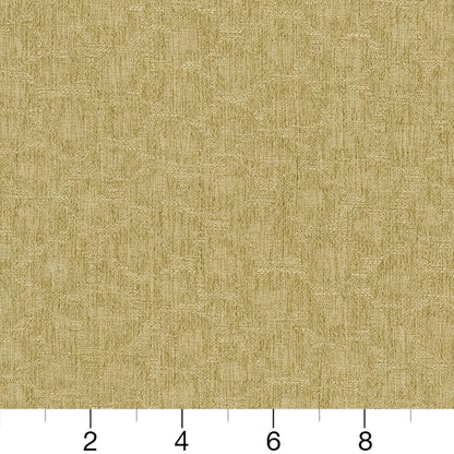 CB600-131 Abstract & Geometric,Animal Print,Plain & Solid nan Green Charlotte Colors