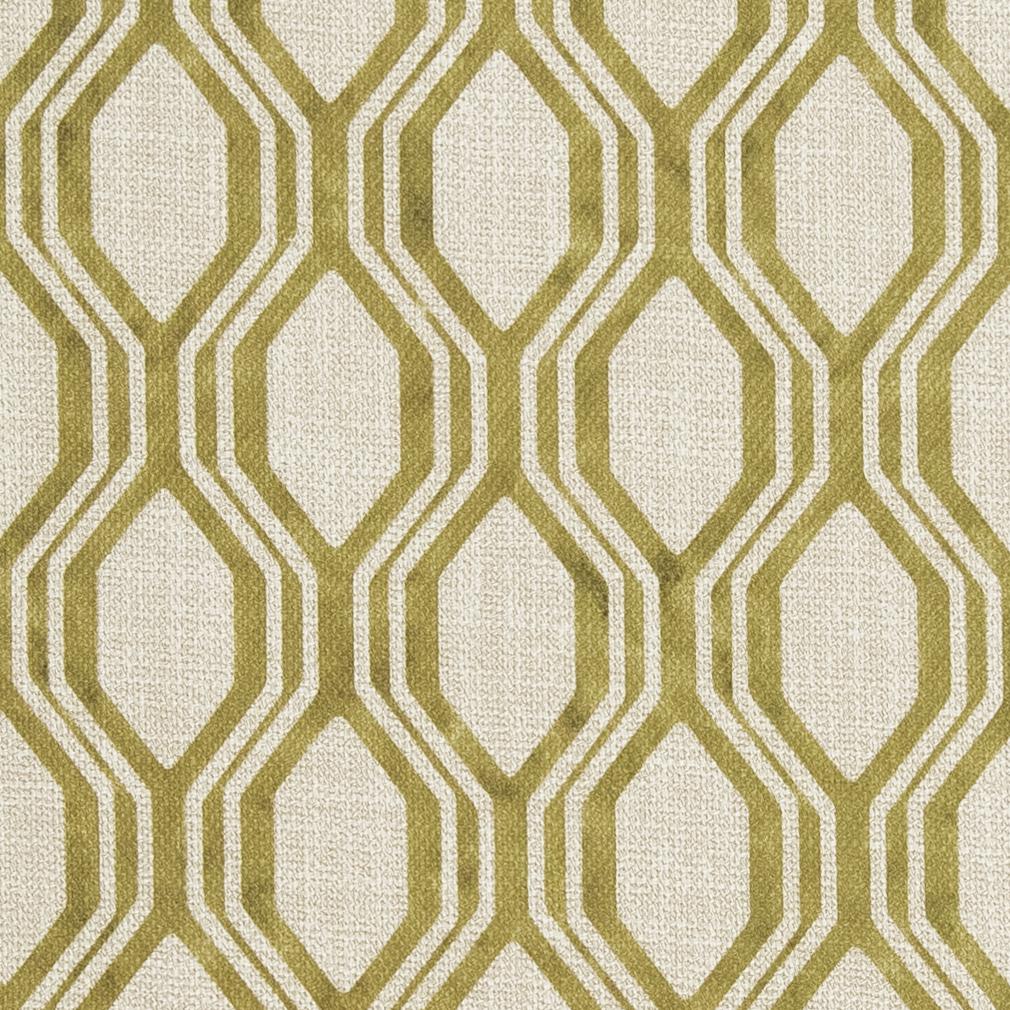 CB600-134 Abstract & Geometric,Animal Print nan Green Charlotte Colors