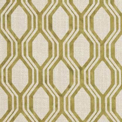 CB600-134 Abstract & Geometric,Animal Print nan Green Charlotte Colors