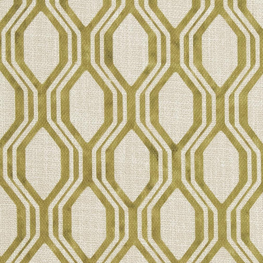 CB600-134 Abstract & Geometric,Animal Print nan Green Charlotte Colors