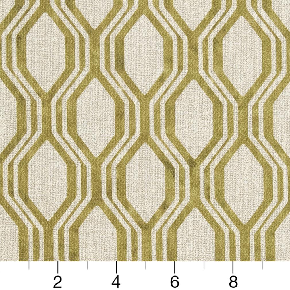 CB600-134 Abstract & Geometric,Animal Print nan Green Charlotte Colors