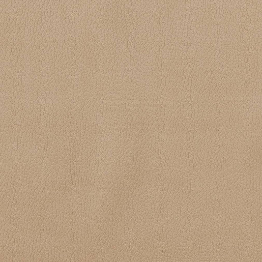 CB600-156 Plain & Solid nan Brown Charlotte Colors
