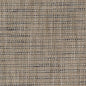 CB600-184 Small Scale nan Blue Charlotte Colors
