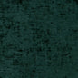 CB600-185 Plain & Solid nan Green Charlotte Colors