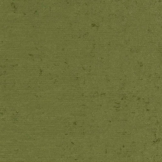 CB600-186 Plain & Solid nan Green Charlotte Colors
