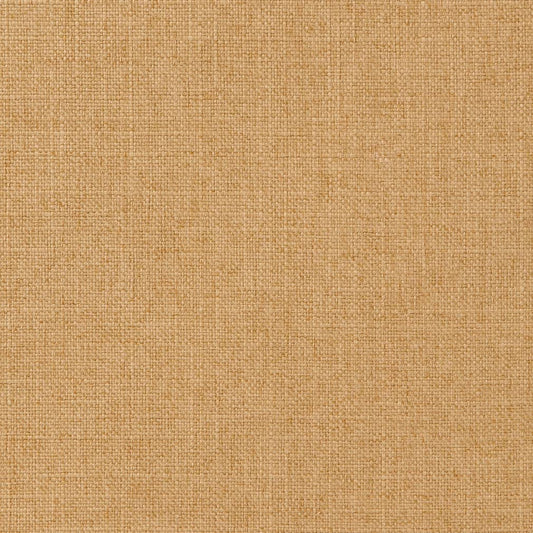 CB600-198 Plain & Solid nan Beige & Taupe Charlotte Colors