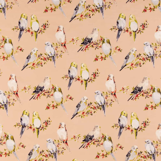CB600-205 Floral,Novelty nan Coral & Peach,Pink Charlotte Colors