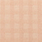 CB600-209 Plaid nan Pink Charlotte Colors