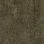 CB600-220 Plain & Solid nan Green Charlotte Colors
