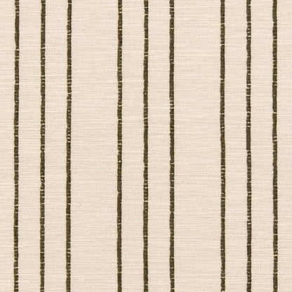 CB600-222 Stripe nan Green Charlotte Colors