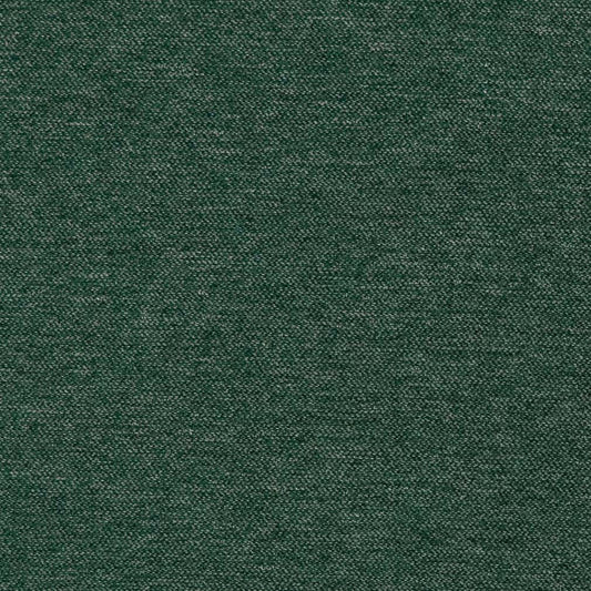 CB600-224 Plain & Solid nan Green Charlotte Colors