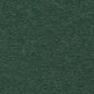 CB600-224 Plain & Solid nan Green Charlotte Colors
