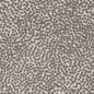 CB600-227 Abstract & Geometric,Small Scale nan Grey & Silver Charlotte Colors