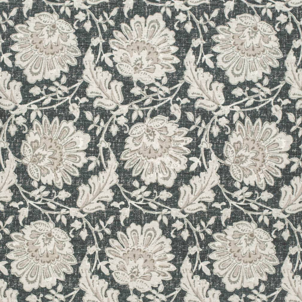 CB600-251 Floral nan Black Charlotte Colors