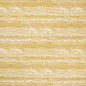 CB600-266 Abstract & Geometric nan Gold & Yellow Charlotte Colors