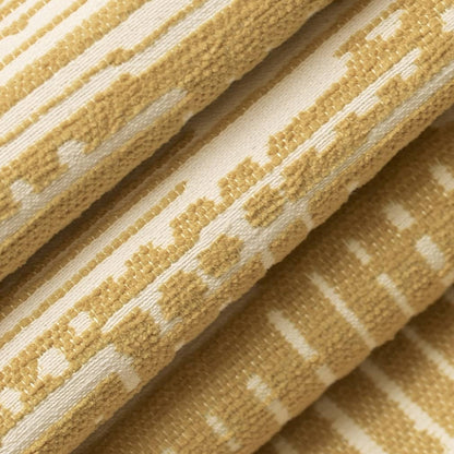 CB600-266 Abstract & Geometric nan Gold & Yellow Charlotte Colors