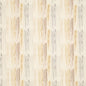CB600-267 Abstract & Geometric nan Gold & Yellow Charlotte Colors