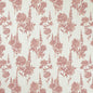 CB600-292 Floral nan Pink Charlotte Fabrics