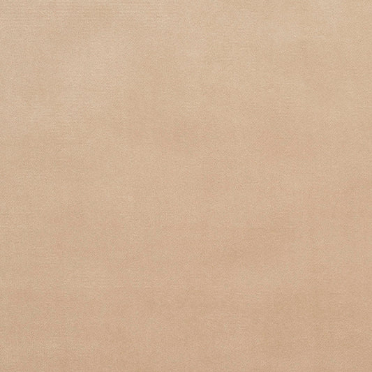CB600-49 Plain & Solid Beige & Taupe Charlotte Fabrics Velvet