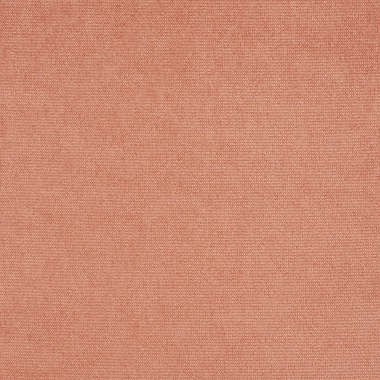 CB600-69 Plain & Solid nan Coral & Peach Charlotte Colors
