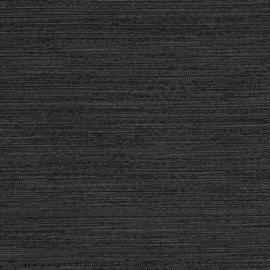 CB600-83 Plain & Solid nan Black Charlotte Colors