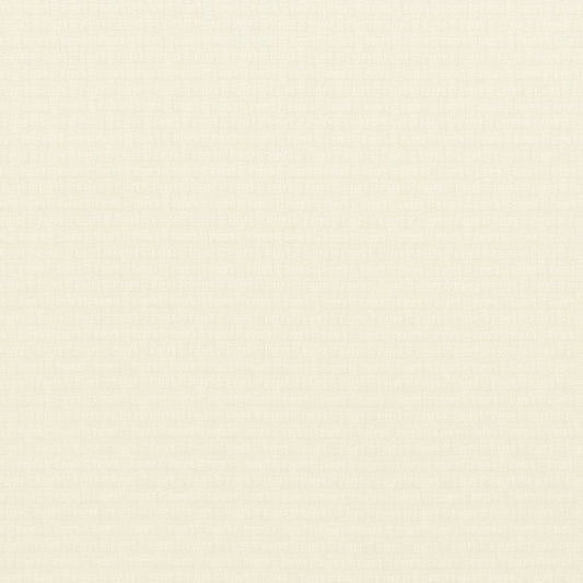 CB600-85 Abstract & Geometric,Small Scale nan White & Ivory Charlotte Colors